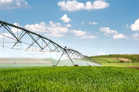 Irrigation Whangarei, Kerikeri, Northland